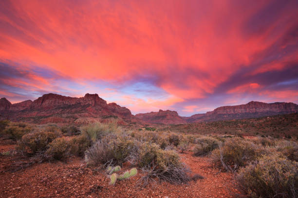 istock Sunset at Zion National Park 1152868998