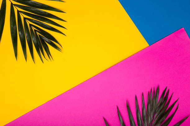 Tropical bright colorful background with exotic tropical palm leaves