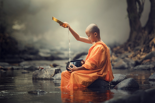 1000+ Buddhist Monk Pictures | Download Free Images on Unsplash