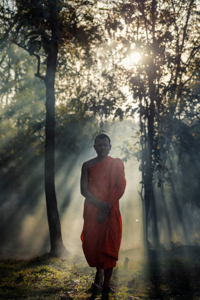 istock Novice pilgrimage to the forest alone 1152869873