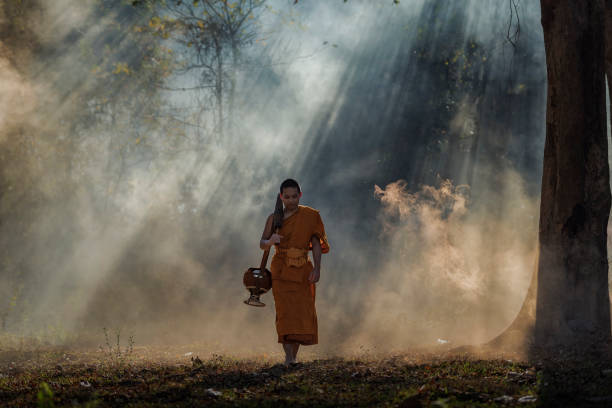 istock Novice pilgrimage to the forest alone 1152870028
