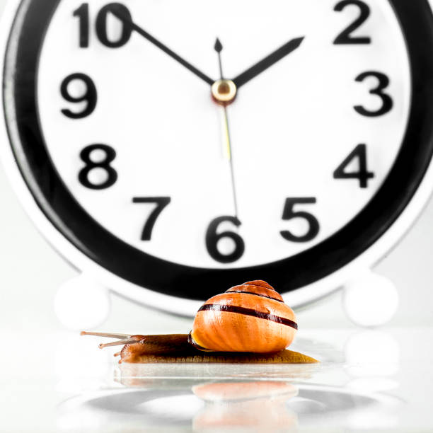 istock Time lapse concept - snail and clock isolated on white 1152870079
