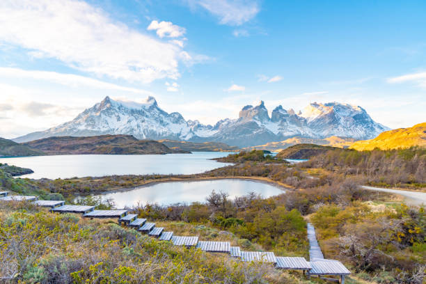 istock Torres del Paine National Park, Chile. (Torres del Paine National Park) 1152870375