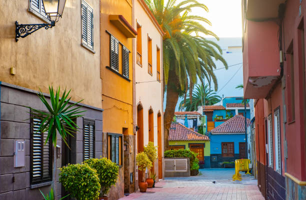 Colourful houses, palm on street Puerto de la Cruz town Tenerife Canary Islands Tenerife. Colourful houses and palm trees on street in Puerto de la Cruz town, Tenerife, Canary Islands, Spain. tenerife stock pictures, royalty-free photos & images