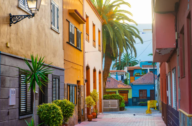 colourful houses, palm on street puerto de la cruz town tenerife canary islands - tenerife spain santa cruz de tenerife canary islands imagens e fotografias de stock