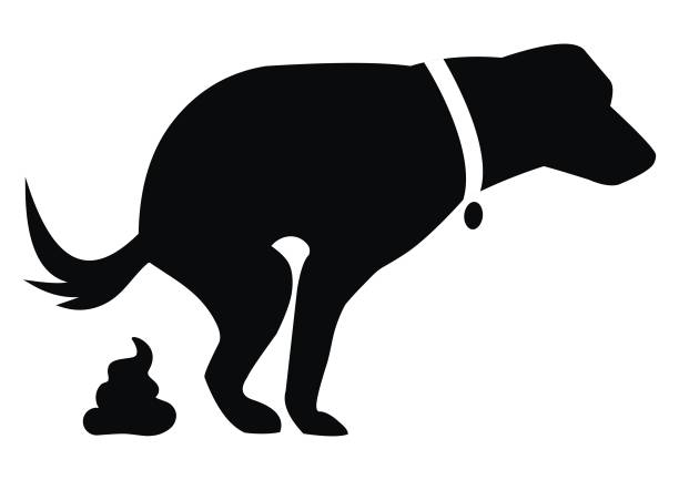 2,220 Defecating Illustrations & Clip Art - iStock | Dog defecating