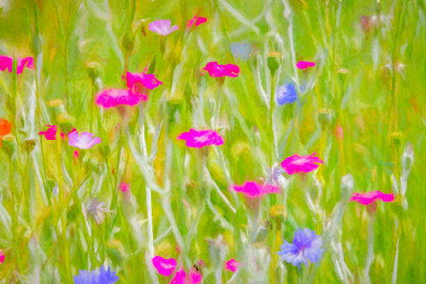 istock Mixed group of English wildflowers 1152875865