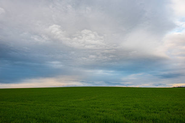 istock green meadow under blue sky in countryside 1152878049