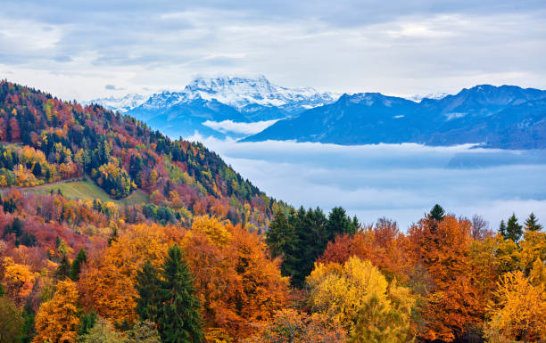 ヨーロッパアルプスの多色の秋 - france european alps provence alpes cote dazur mountain ストックフォトと画像