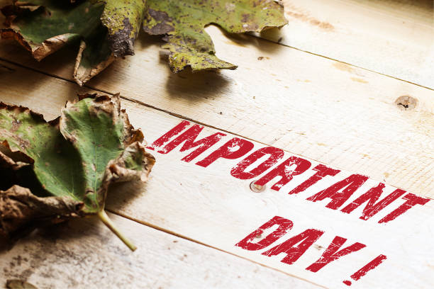 istock Conceptual hand writing showing Important Day on wooden background 1152879564