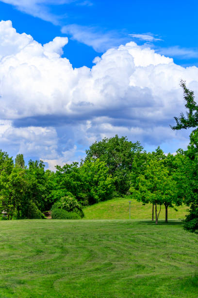istock Landscapes from Dog park, Sofia, Bulgaria 1152881739
