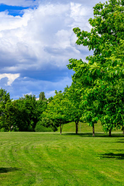 istock Landscapes from Dog park, Sofia, Bulgaria 1152881744