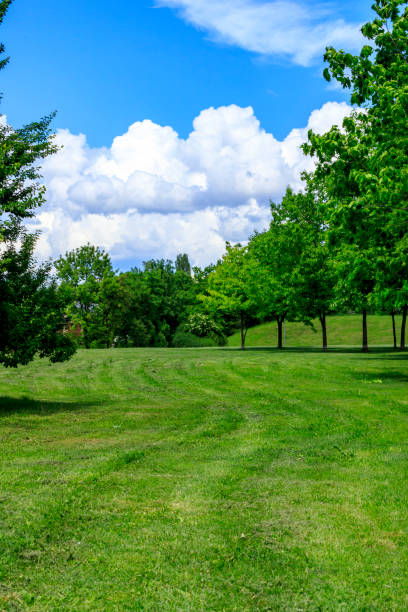 istock Landscapes from Dog park, Sofia, Bulgaria 1152881764