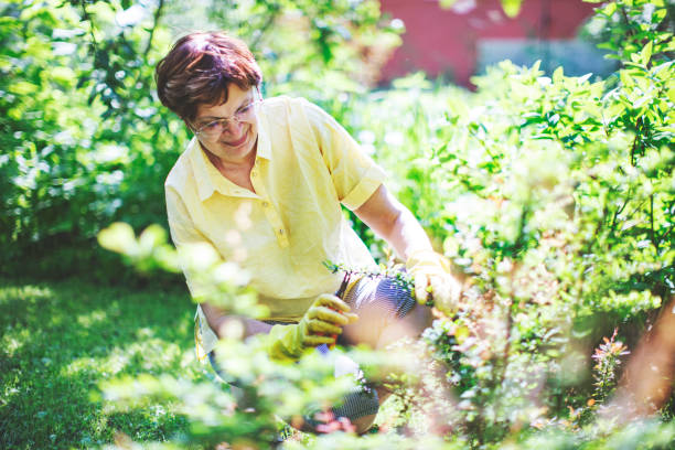 istock Senior woman working in garden 1152891871