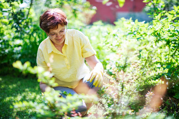 istock Senior woman working in garden 1152892182