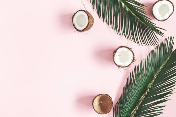Summer composition. Coconut, palm leaf on pastel pink background. Summer concept. Flat lay, top view, copy space