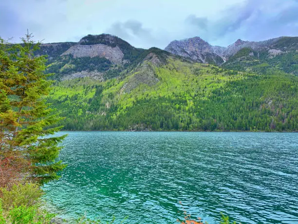 Whiteswan Lake in British Columbia , Canada