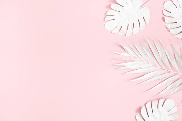 istock Summer composition. Tropical palm leaves on pink background. Summer concept. Flat lay, top view, copy space 1152894120
