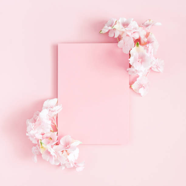 istock Flowers composition. Hydrangea flowers, paper blank on pastel pink background. Flat lay, top view, copy space 1152894213