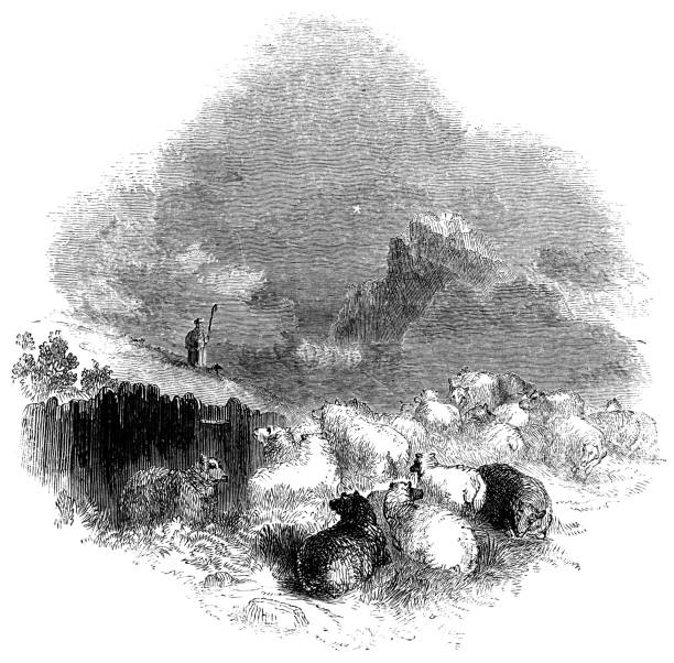 istock Shepherd and His Flock of Sheep Under the Morning Star 1152894906