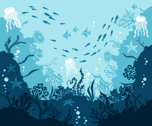 ilustrações de stock, clip art, desenhos animados e ícones de underwater background. corals and reef wildlife scene. vector illustration with deep marine inhabitants. - bottom sea