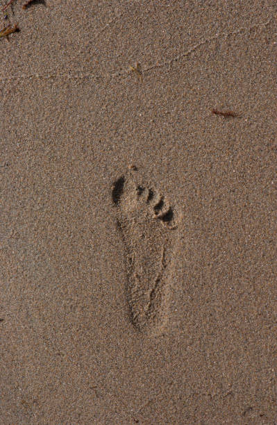 istock Footprint on a wet, sandy beach. 1152899666