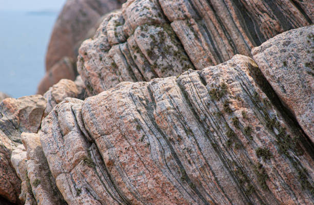 roccia metamorfica gneiss grigia e rosa. - foliated foto e immagini stock