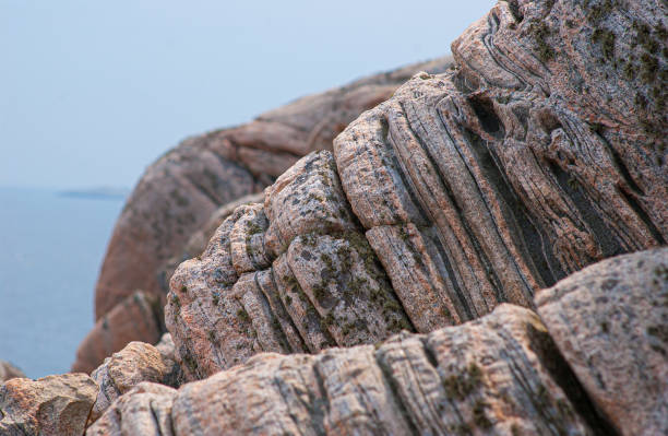 roche métamorphique grise et rose gneiss. - gneiss photos et images de collection