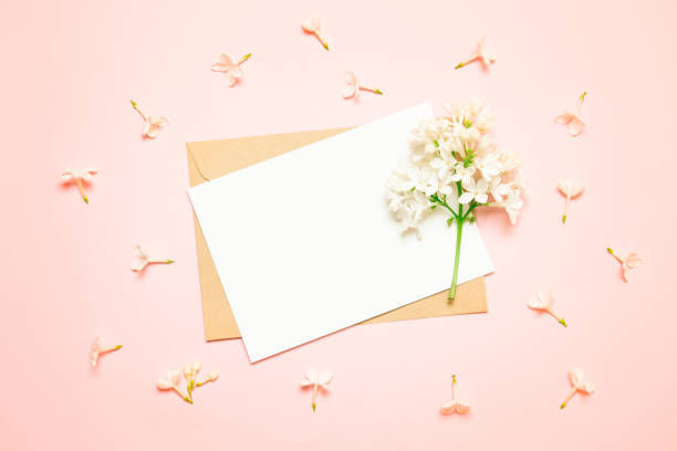 istock Mockup white greeting card and envelope with lilac branches on a light background 1152900397