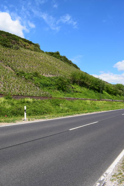 istock middle Rhine valley road at tterraced vineyards 1152900768