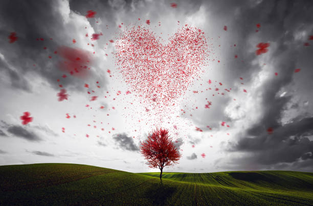 istock Hearth shape made of flying red leaves falling from the tree 1152901853