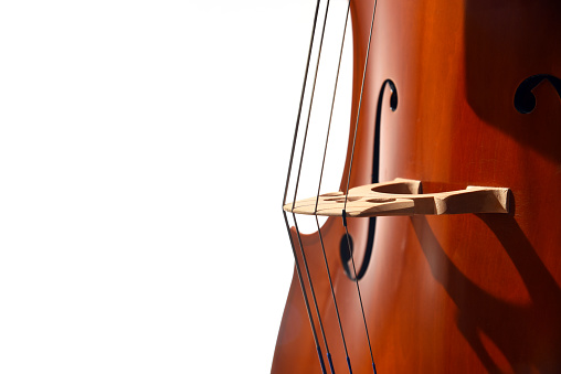 Cello strings closeup on white background