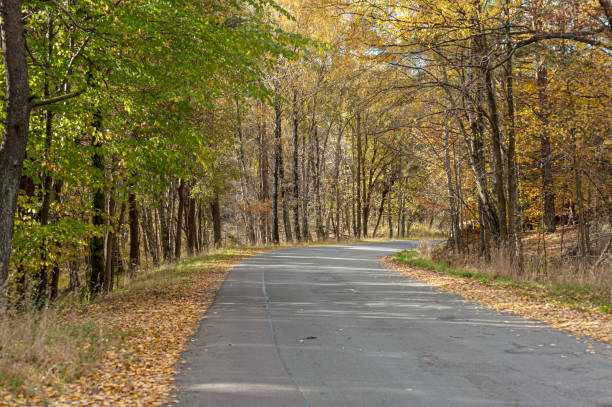 istock Small road curving its way through an autumn forest. 1152904729