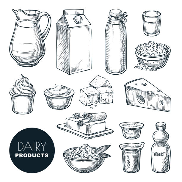 zestaw świeżych produktów na farmę mleczarską. wektor ręcznie rysowane ilustracji szkicu. butelka mleka, twaróg, jogurt, ikony masła - dairy product illustrations stock illustrations