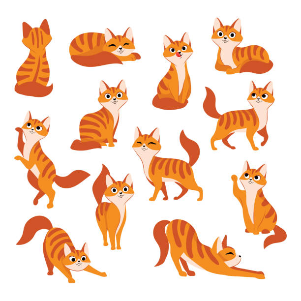 bildbanksillustrationer, clip art samt tecknat material och ikoner med röd söt katt i olika poser. vektor tecknad platt illustration. rolig lekfull kitty isolerad på vit bakgrund - tamkatt illustrationer