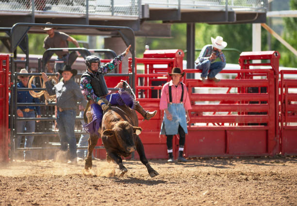 istock Cowboy Bull Riding in Rodeo Arena 1152905337