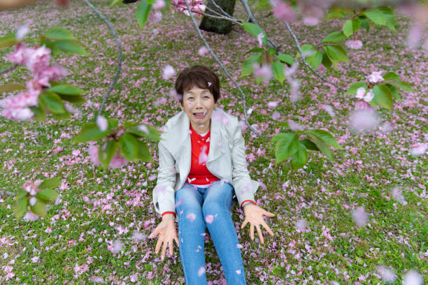 Senior Japanese woman enjoying cherry blossom