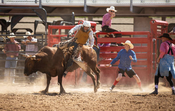 istock Cowboy Bull Riding in Rodeo Arena 1152908016