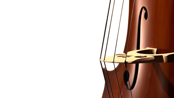 Cello strings, bridge and f hole closeup on white background