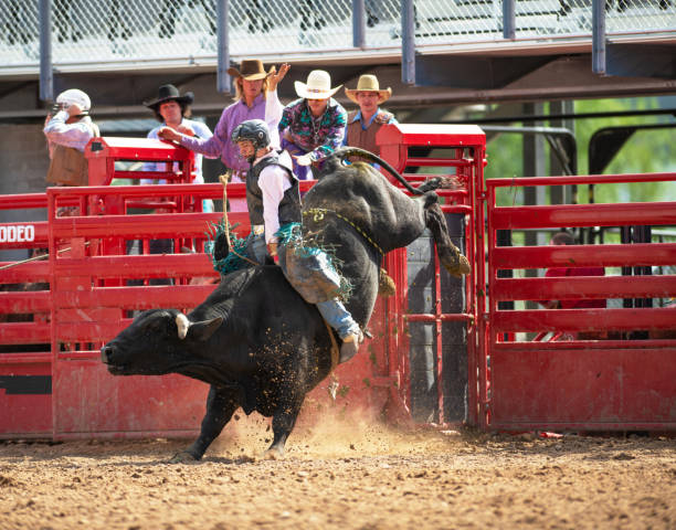 istock Cowboy Bull Riding in Rodeo Arena 1152909272