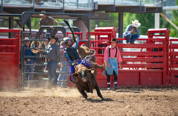 istock Cowboy Bull Riding in Rodeo Arena 1152909321