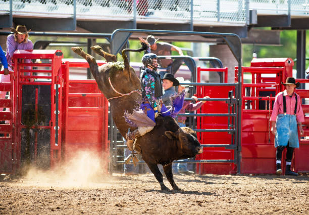 istock Cowboy Bull Riding in Rodeo Arena 1152909609