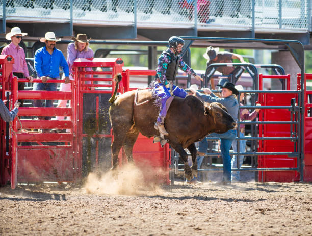 istock Cowboy Bull Riding in Rodeo Arena 1152910264