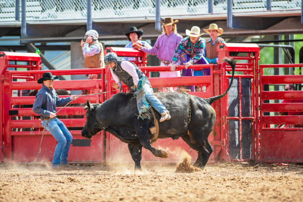 istock Cowboy Bull Riding in Rodeo Arena 1152910432