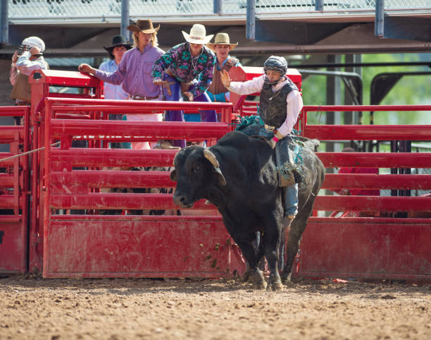 istock Cowboy Bull Riding in Rodeo Arena 1152910715
