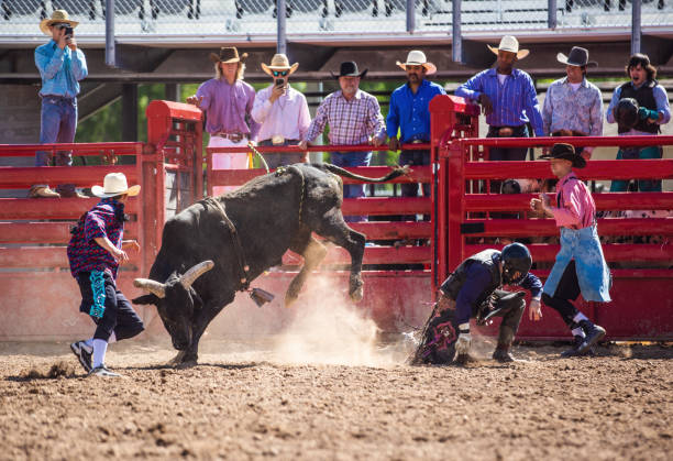 istock Cowboy Bull Riding in Rodeo Arena 1152911010
