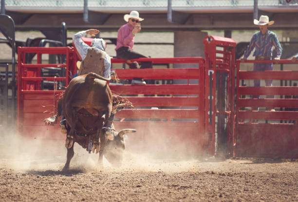 istock Cowboy Bull Riding in Rodeo Arena 1152911933