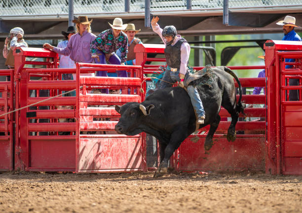 istock Cowboy Bull Riding in Rodeo Arena 1152913560