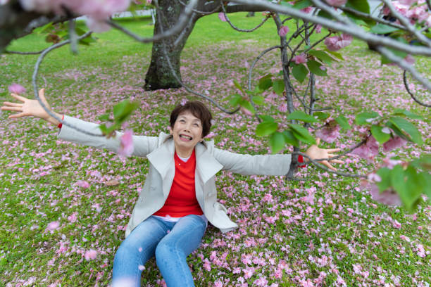 桜を楽しむ先輩日本人女性