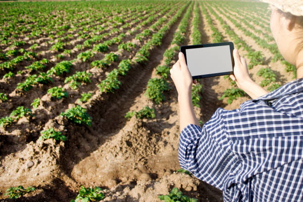 istock Agronomist using a digital tablet in an agriculture field. 1152935707
